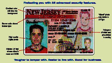 new jersey drivers license number search